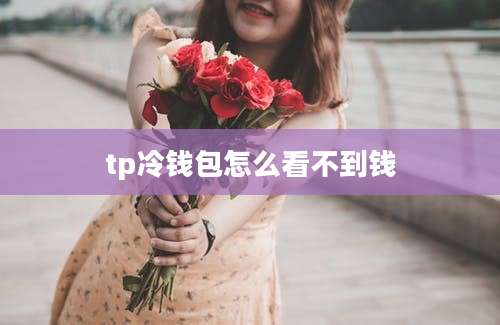 tp冷钱包怎么看不到钱