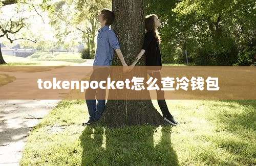 tokenpocket怎么查冷钱包