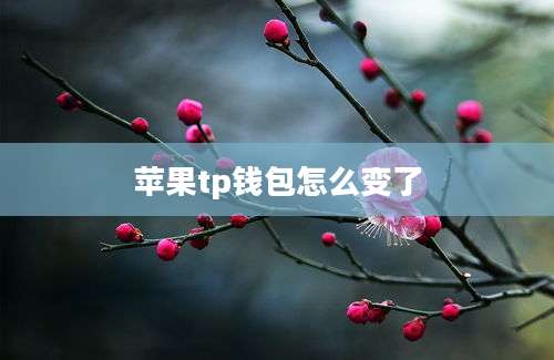 苹果tp钱包怎么变了