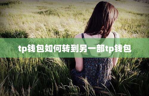 tp钱包如何转到另一部tp钱包