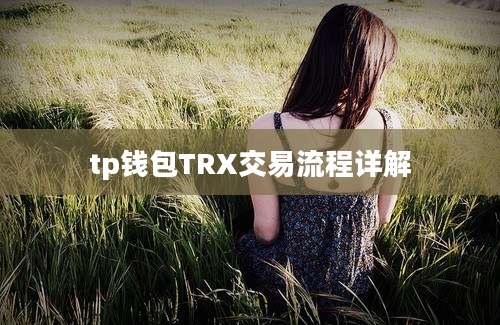 tp钱包TRX交易流程详解