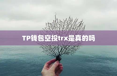 TP钱包空投trx是真的吗