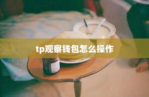 tp观察钱包怎么操作