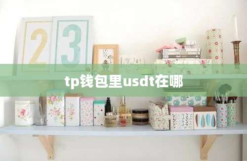 tp钱包里usdt在哪
