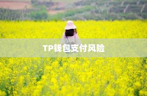 TP钱包支付风险