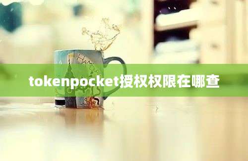 tokenpocket授权权限在哪查