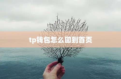 tp钱包怎么回到首页