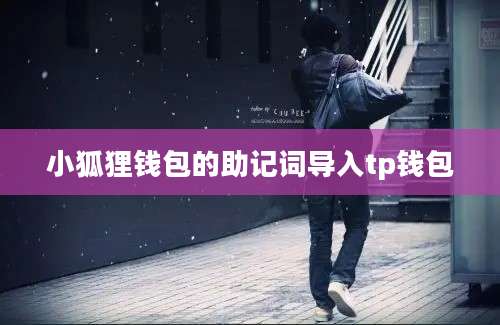 小狐狸钱包的助记词导入tp钱包