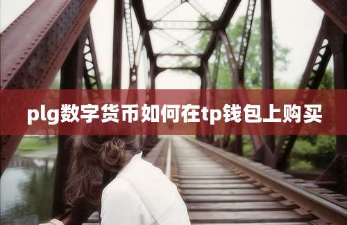 plg数字货币如何在tp钱包上购买