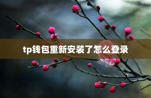 tp钱包重新安装了怎么登录