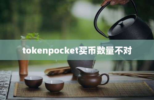 tokenpocket买币数量不对