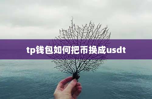 tp钱包如何把币换成usdt