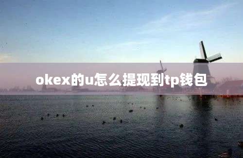 okex的u怎么提现到tp钱包