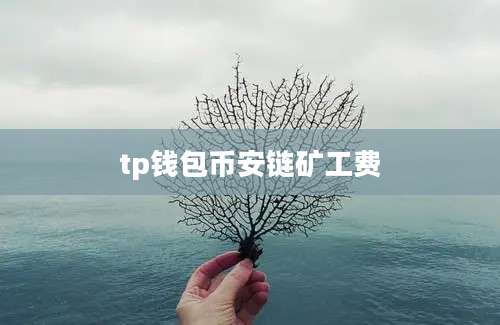 tp钱包币安链矿工费