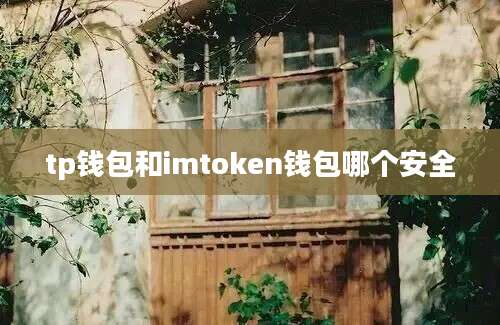 tp钱包和imtoken钱包哪个安全