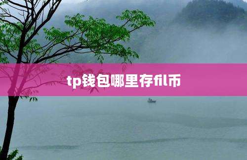tp钱包哪里存fil币