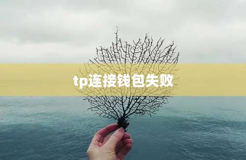 tp连接钱包失败
