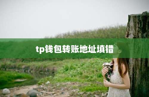 tp钱包转账地址填错