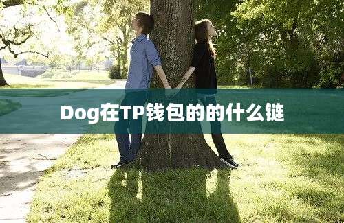 Dog在TP钱包的的什么链