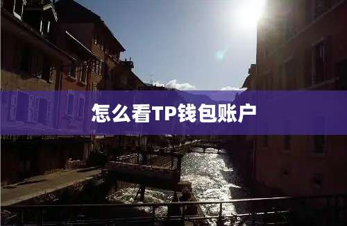怎么看TP钱包账户