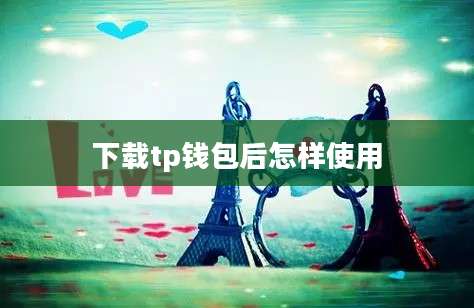 下载tp钱包后怎样使用