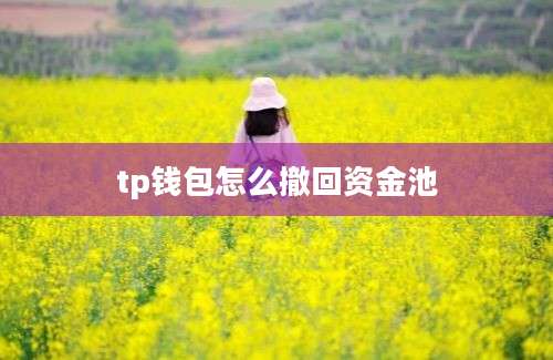 tp钱包怎么撤回资金池
