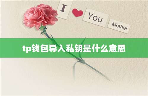 tp钱包导入私钥是什么意思