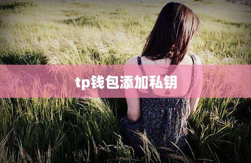 tp钱包添加私钥