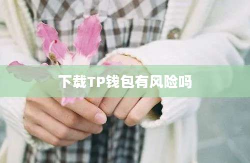 下载TP钱包有风险吗