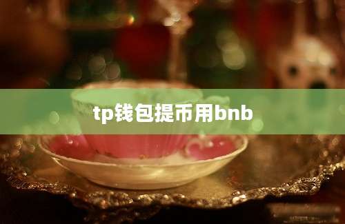 tp钱包提币用bnb