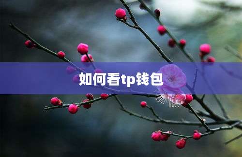 如何看tp钱包