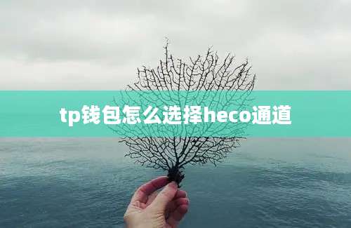 tp钱包怎么选择heco通道