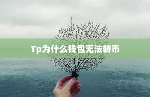 Tp为什么钱包无法转币