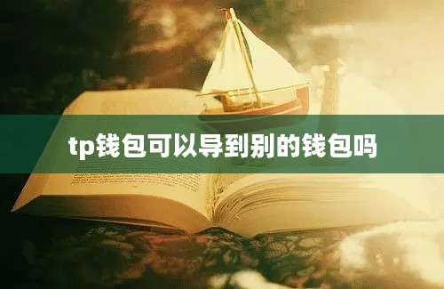 tp钱包可以导到别的钱包吗