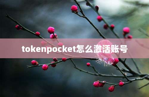 tokenpocket怎么激活账号