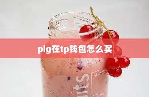 pig在tp钱包怎么买