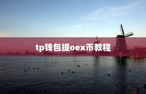 tp钱包提oex币教程