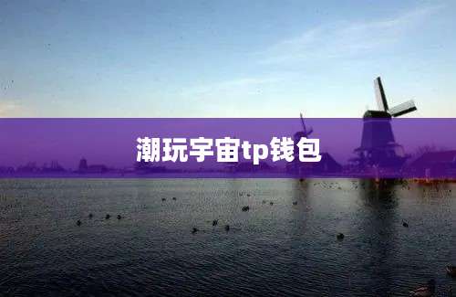 潮玩宇宙tp钱包