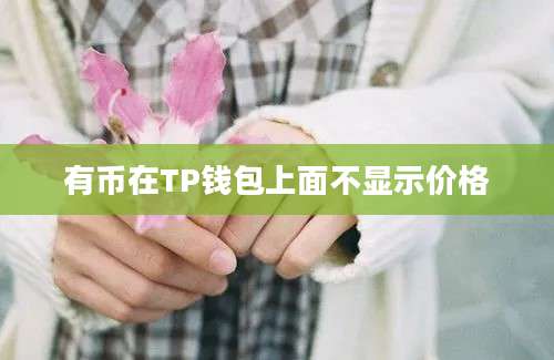 有币在TP钱包上面不显示价格
