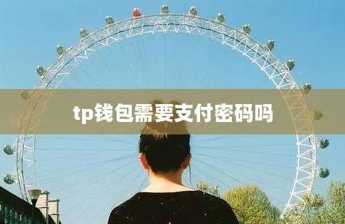 tp钱包需要支付密码吗