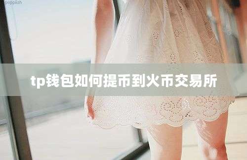 tp钱包如何提币到火币交易所