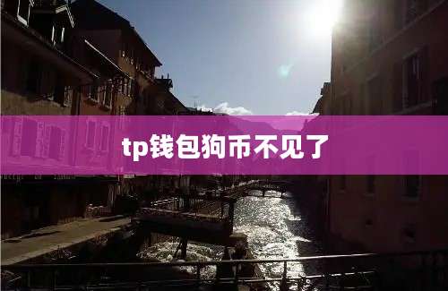 tp钱包狗币不见了