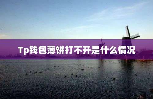 Tp钱包薄饼打不开是什么情况