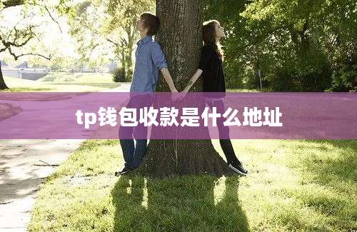 tp钱包收款是什么地址