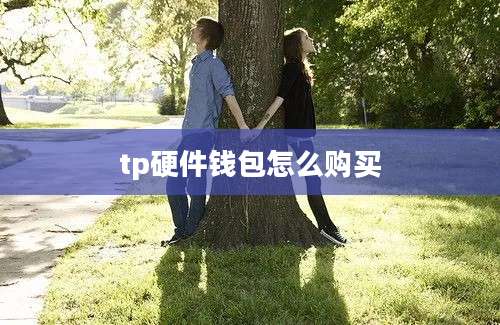tp硬件钱包怎么购买