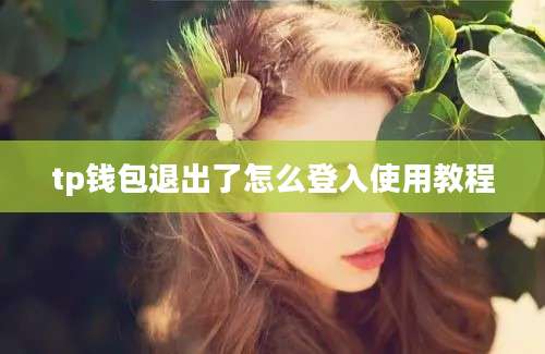 tp钱包退出了怎么登入使用教程