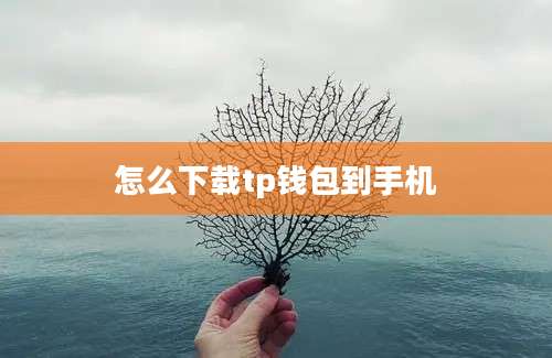 怎么下载tp钱包到手机