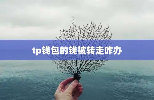 tp钱包的钱被转走咋办