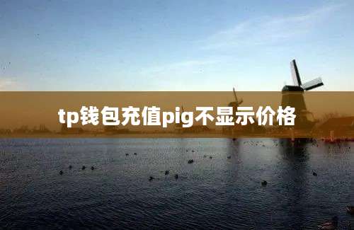 tp钱包充值pig不显示价格
