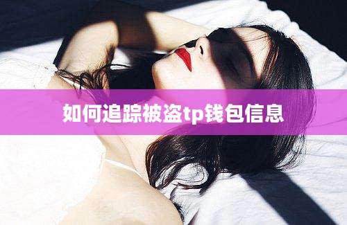 如何追踪被盗tp钱包信息